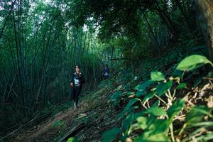 BIB: 
                            <button type="button" onclick="openModal(28124842)" class="btn btn-primary btn-sm float-right btn-popup" data-toggle="modal" data-target=".modal-high-quality">
                        <i class="fas fa-shopping-cart"></i> Add to Cart
                    </button>
                                            <button type="button" onclick="isThisMe(28124842, true)" class="btn btn-success btn-sm float-right btn-popup btn-isme hidden" data-toggle="tooltip" data-placement="bottom" title="นี่คือรูปของคุณใช่ไหม คลิกที่นี่เพื่อเอาเข้าอัลบั้ม">
                        <i class="fas fa-plus"></i> Add to album
                    </button>
                    <button type="button" onclick="isThisMe(28124842, false)" class="btn btn-warning btn-sm float-right btn-popup btn-isnotme hidden">
                        <i class="fas fa-ban"></i> Remove from album
                    </button>